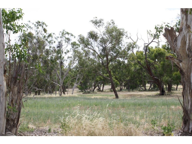 Lot 5 Mahoney Road, Naracoorte SA 5271