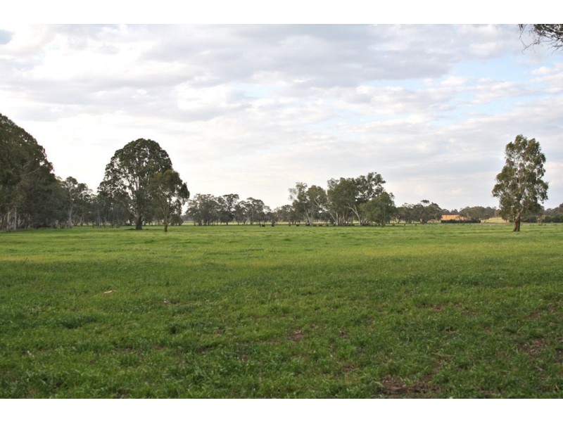 xxx Locks Road, Naracoorte SA 5271