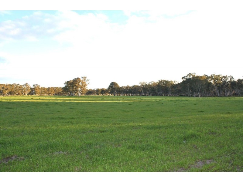 xxx Locks Road, Naracoorte SA 5271