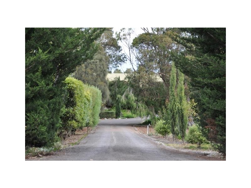 50 Geltwood Drive, Beachport SA 5280