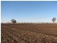 ‘Windy Hill’ Natimuk-Frances Rd, Minimay VIC 3413