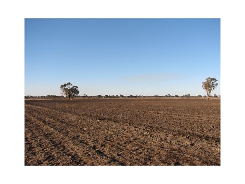 ‘Windy Hill’ Natimuk-Frances Rd, Minimay VIC 3413