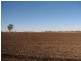 ‘Windy Hill’ Natimuk-Frances Rd, Minimay VIC 3413