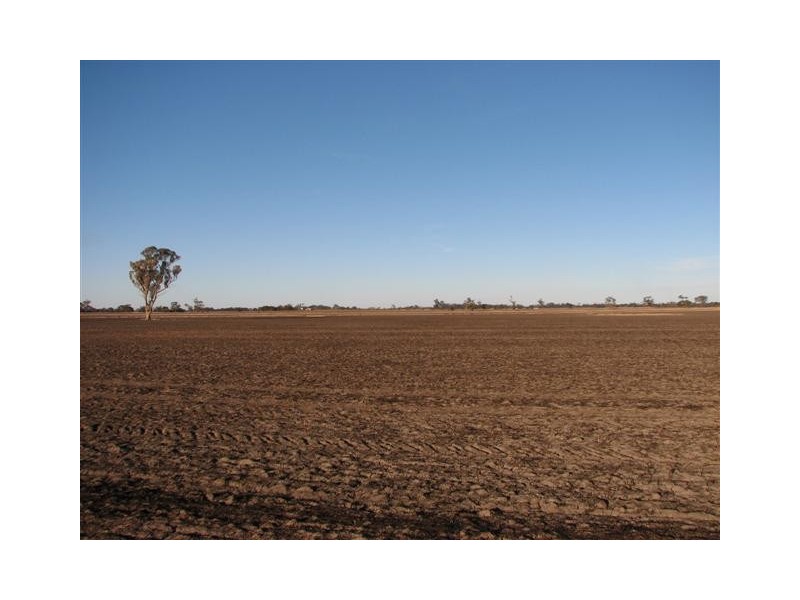‘Windy Hill’ Natimuk-Frances Rd, Minimay VIC 3413