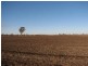 ‘Windy Hill’ Natimuk-Frances Rd, Minimay VIC 3413