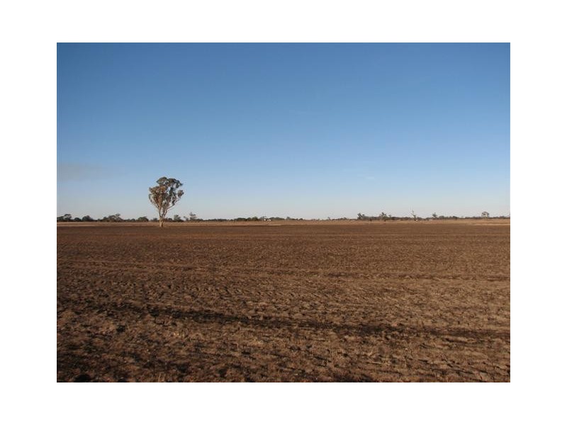 ‘Windy Hill’ Natimuk-Frances Rd, Minimay VIC 3413