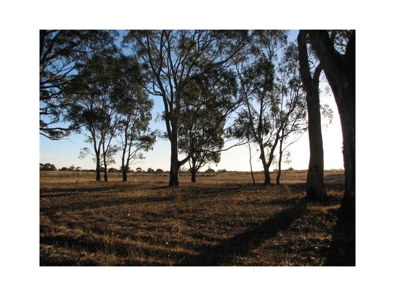 ‘Griggs’ Natimuk-Frances Rd, Minimay VIC 3413