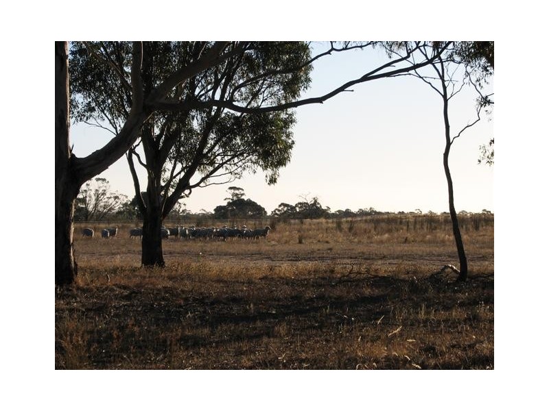 ‘Griggs’ Natimuk-Frances Rd, Minimay VIC 3413