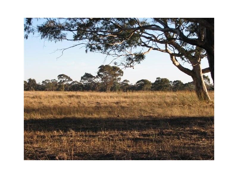 ‘Griggs’ Natimuk-Frances Rd, Minimay VIC 3413