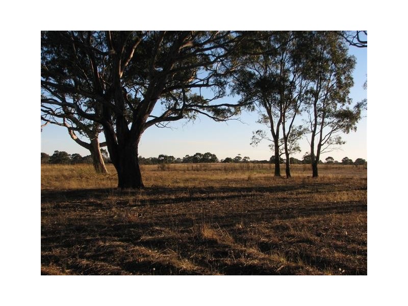 ‘Griggs’ Natimuk-Frances Rd, Minimay VIC 3413