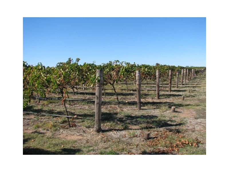 00 Rochow Wrays Rd, Wrattonbully SA 5271