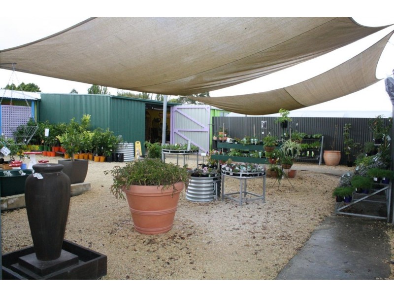 1 Jenkins Terrace, Naracoorte SA 5271