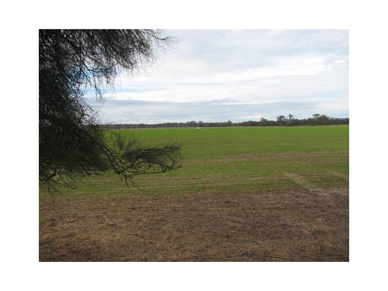 00 Natimuk-Frances Rd, Minimay VIC 3413