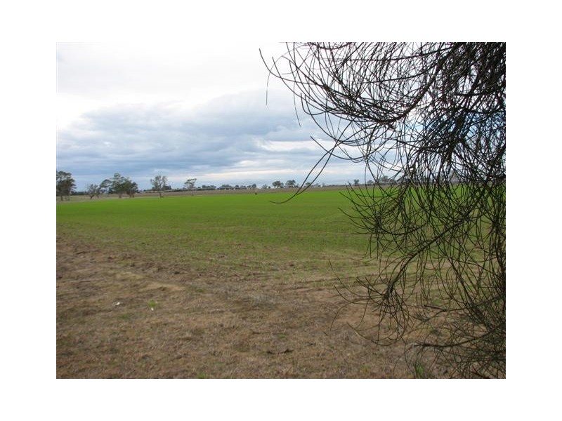 00 Natimuk-Frances Rd, Minimay VIC 3413