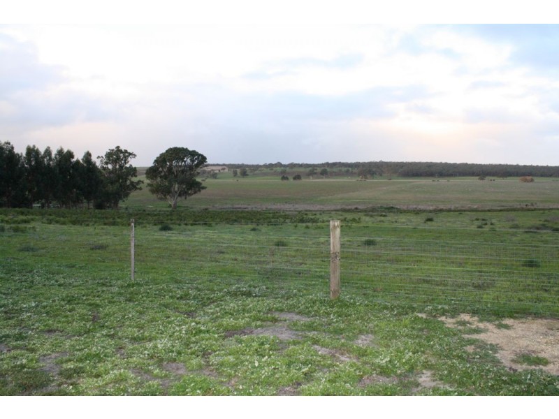 Lot 99 Jim Kelly Road, Naracoorte SA 5271