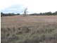 00 Apsley-Natimuk Rd, Minimay VIC 3413