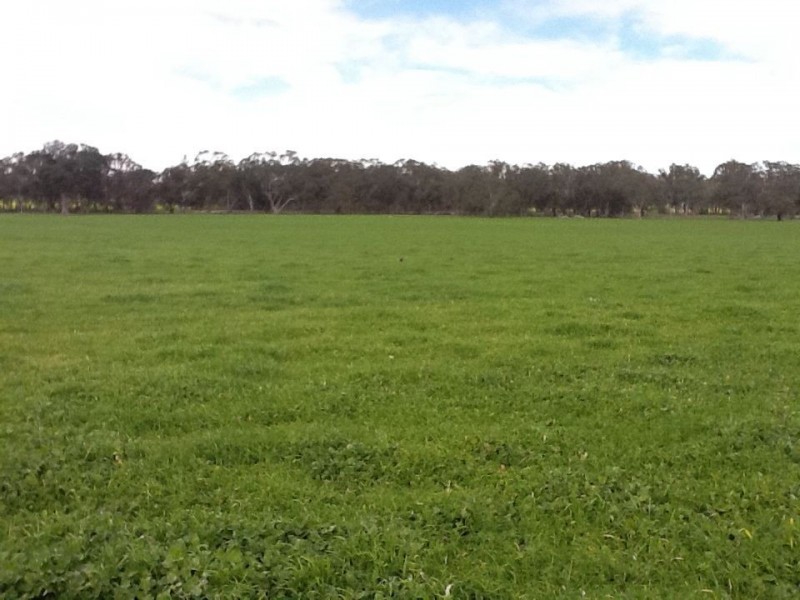 00 Bordertown Kingston Road, Mundulla SA 5270