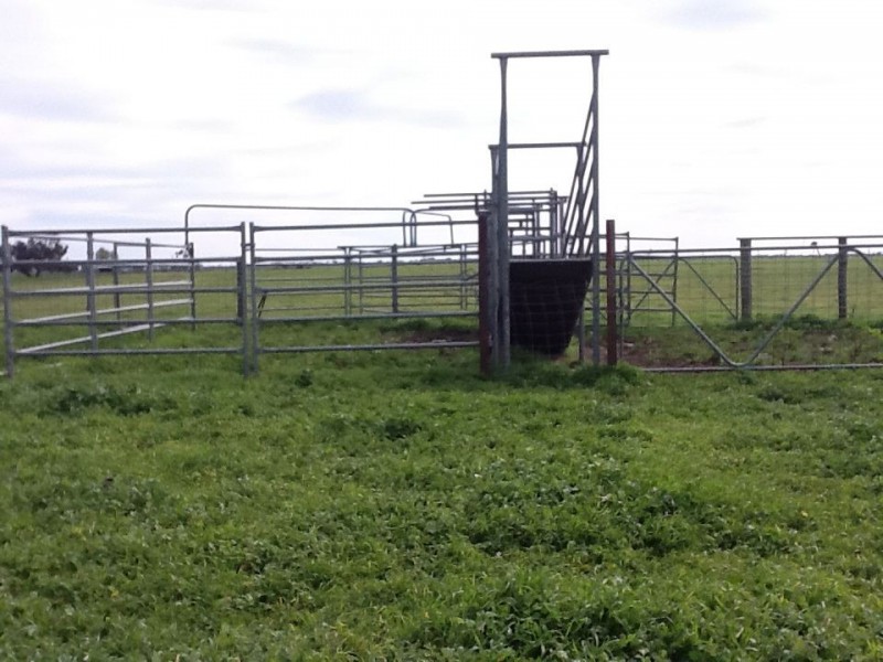 00 Bordertown Kingston Road, Mundulla SA 5270