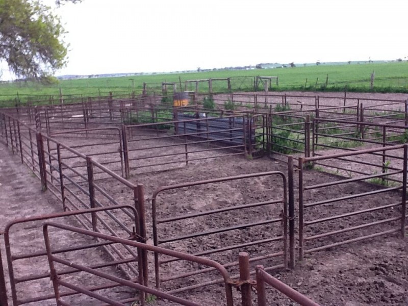 00 Bordertown Kingston Road, Mundulla SA 5270