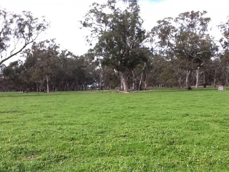 00 Bordertown Kingston Road, Mundulla SA 5270