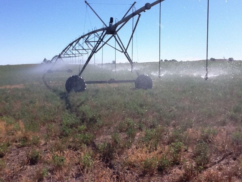 00 Dukes Highway, Tintinara SA 5266