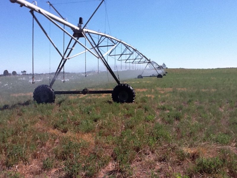 00 Dukes Highway, Tintinara SA 5266