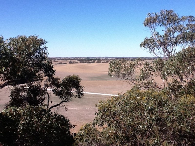 00 Dukes Highway, Tintinara SA 5266