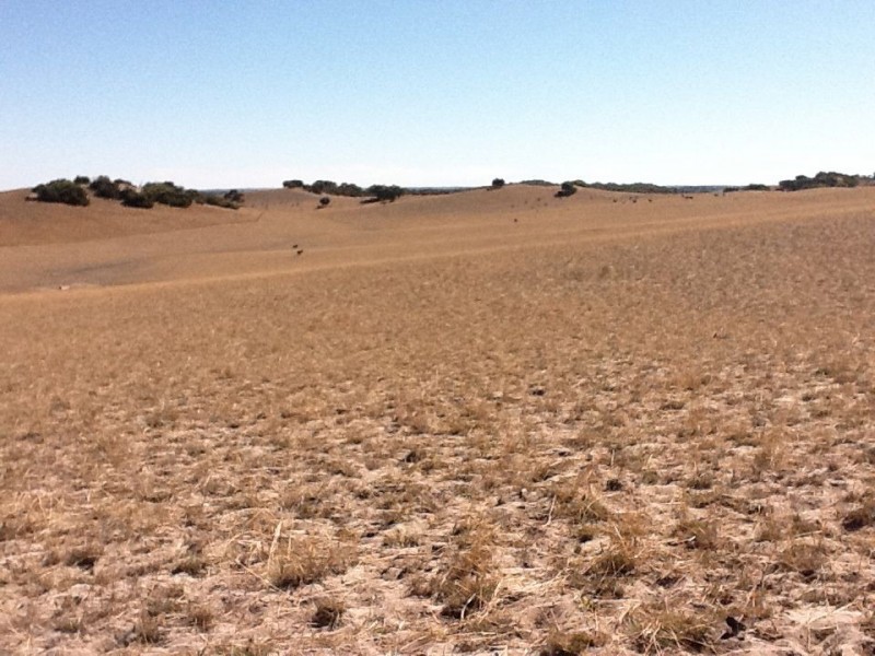 00 Dukes Highway, Tintinara SA 5266