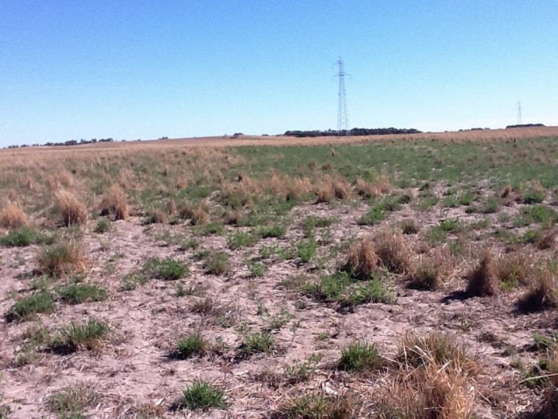 00 Dukes Highway, Tintinara SA 5266