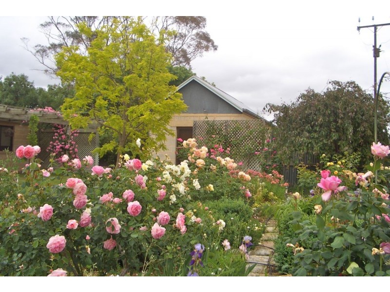 271 Custon Road, Bordertown SA 5268