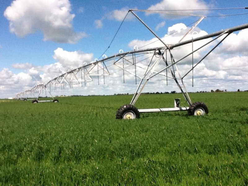 lot 1 Settlers Park Road, Naracoorte SA 5271