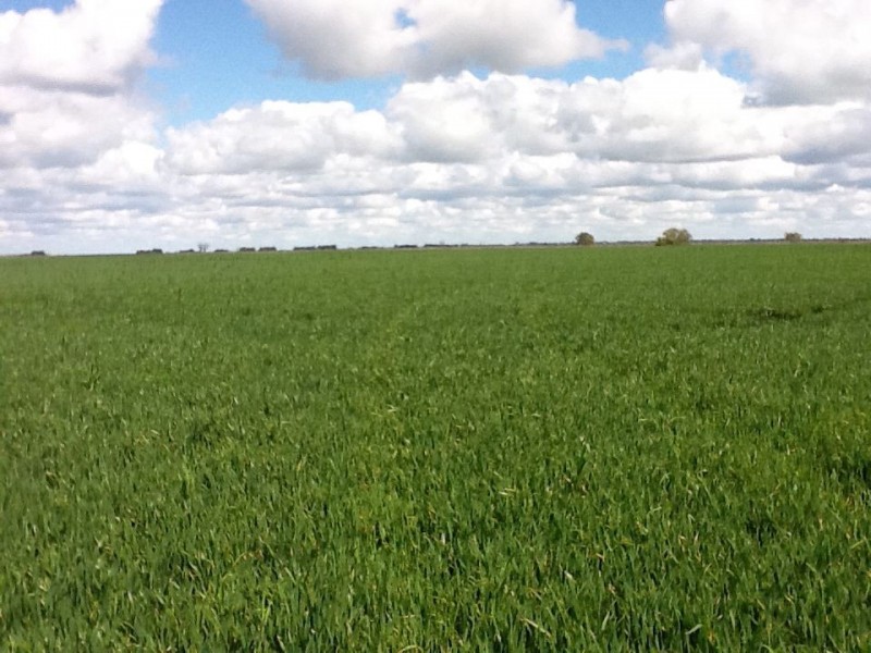 lot 1 Settlers Park Road, Naracoorte SA 5271