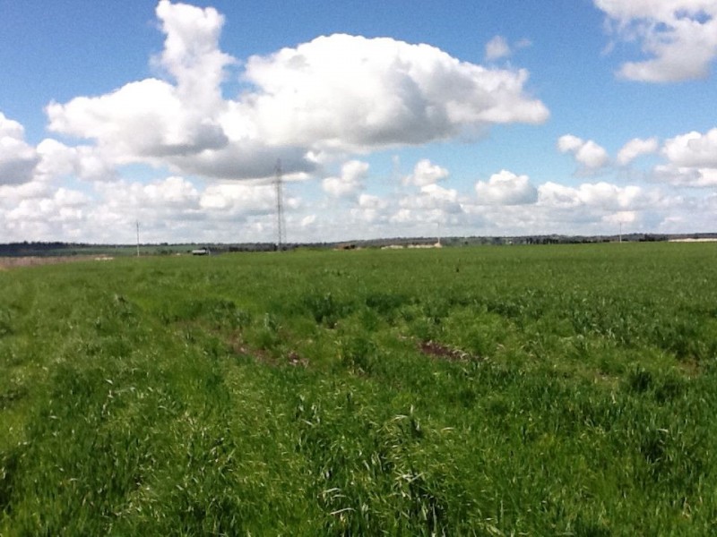 lot 1 Settlers Park Road, Naracoorte SA 5271