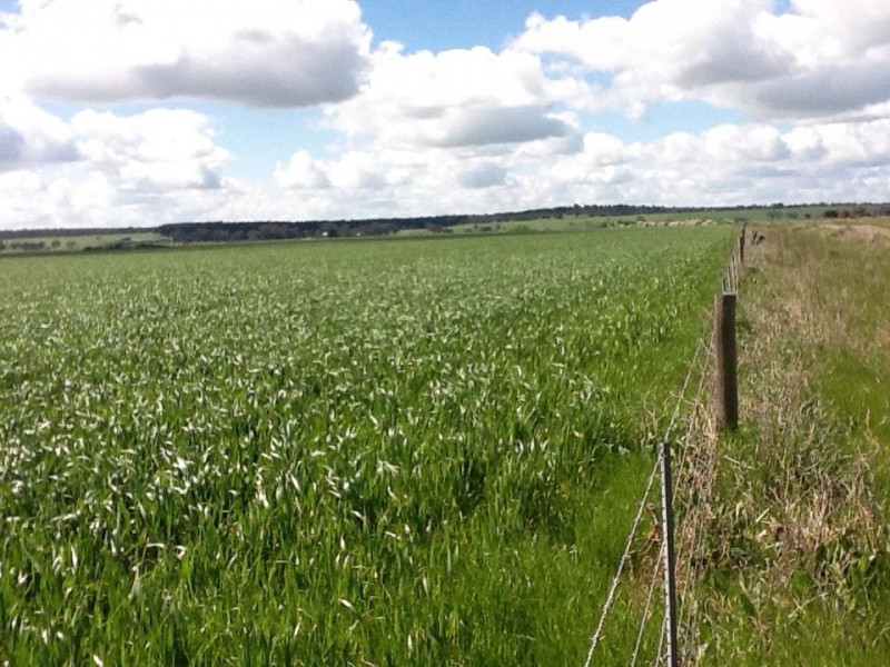 lot 1 Settlers Park Road, Naracoorte SA 5271