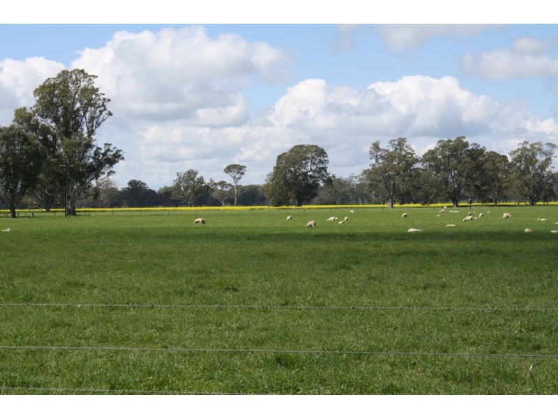 Sect 145 Chapples Road, Naracoorte SA 5271