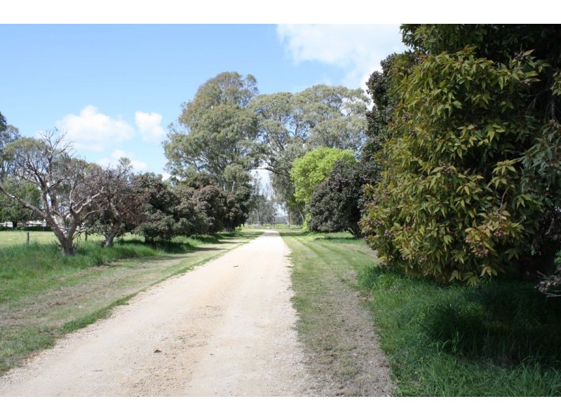 Sect 145 Chapples Road, Naracoorte SA 5271