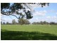Sect 145 Chapples Road, Naracoorte SA 5271