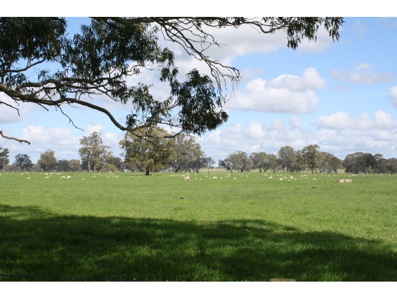 Sect 145 Chapples Road, Naracoorte SA 5271