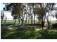 173 Fogartys Road, Naracoorte SA 5271