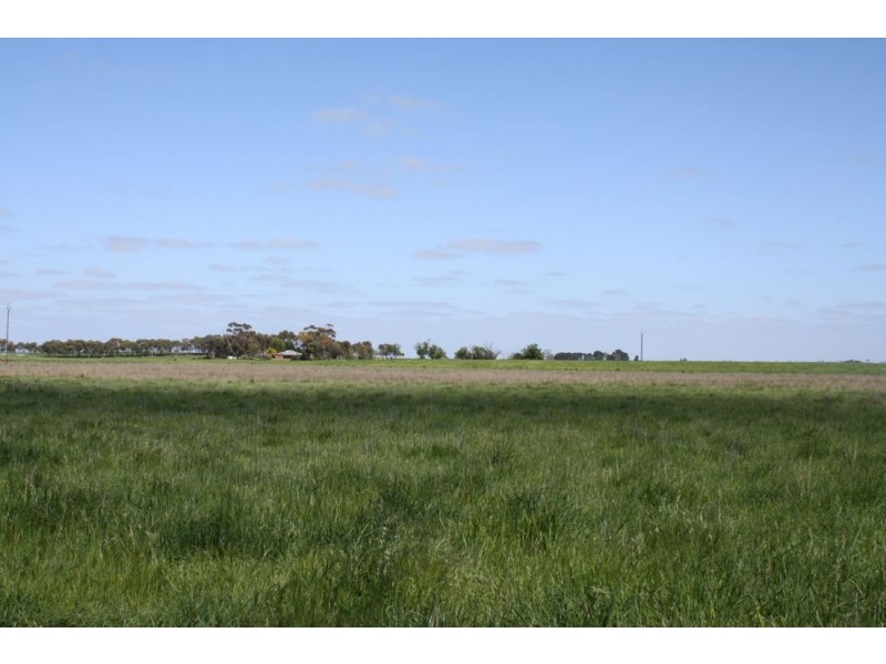 173 Fogartys Road, Naracoorte SA 5271