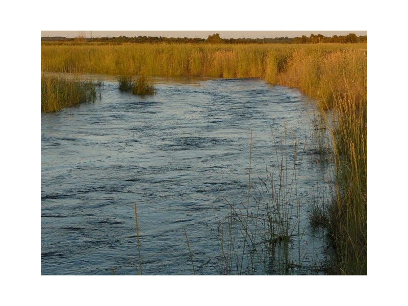 173 Fogartys Road, Naracoorte SA 5271