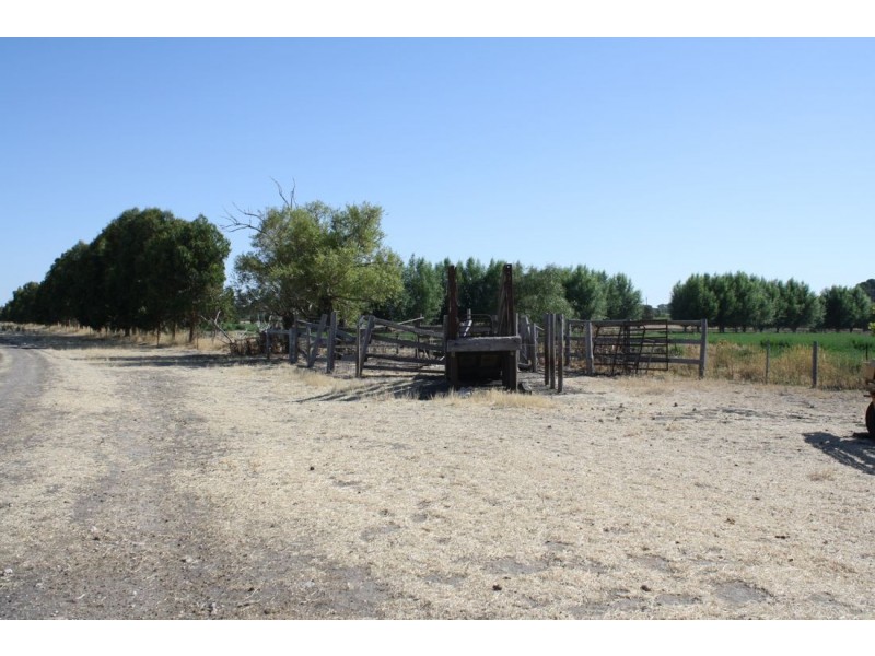 42 Gum Point Road, Naracoorte SA 5271