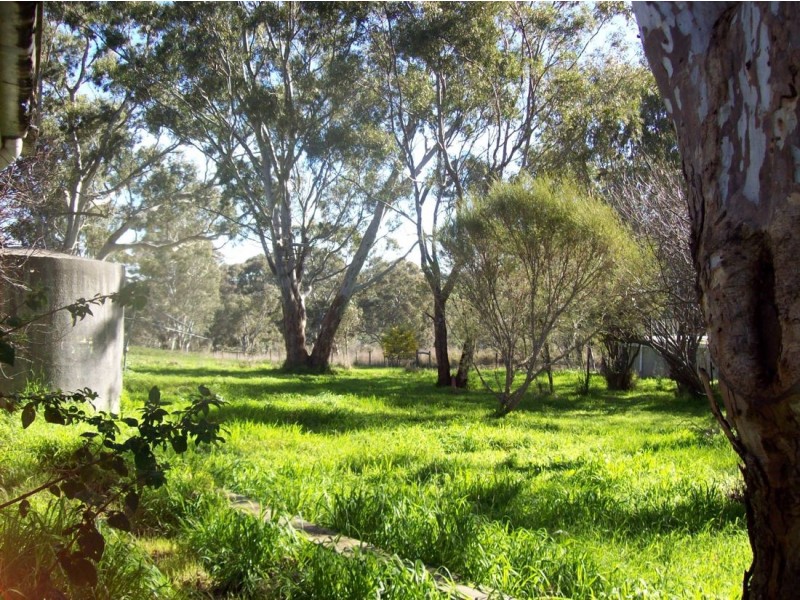 3527* Casterton Naracoorte Road, Dergholm VIC 3312