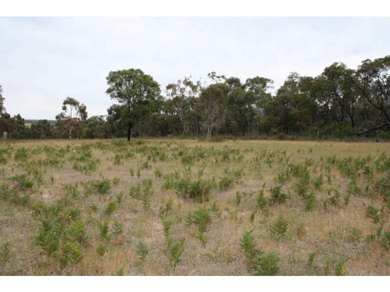 Allot 1 Mt McIntosh Road, Naracoorte SA 5271