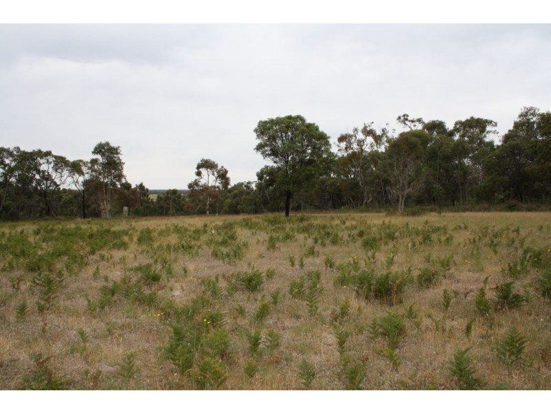 Allot 1 Mt McIntosh Road, Naracoorte SA 5271