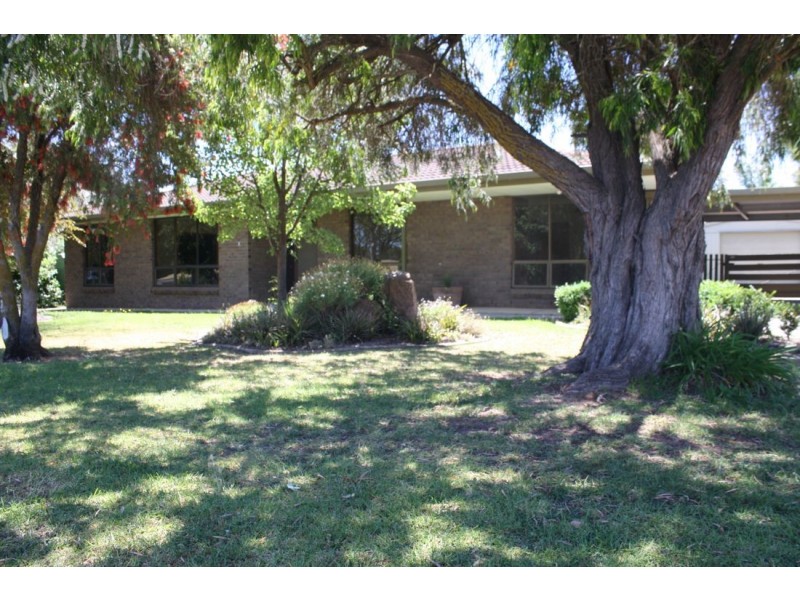 3 Palm Street, Naracoorte SA 5271