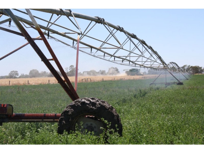 ‘Mt Light’ Hynam Caves Rd, Naracoorte SA 5271