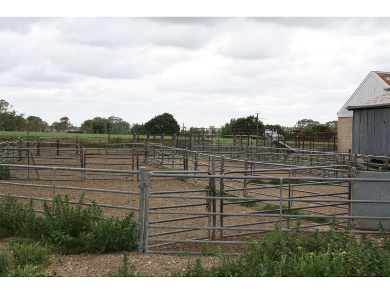 ‘Mt Light’ Hynam Caves Rd, Naracoorte SA 5271