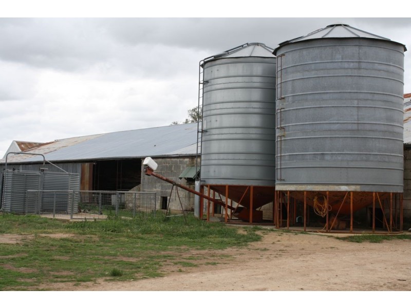 ‘Mt Light’ Hynam Caves Rd, Naracoorte SA 5271