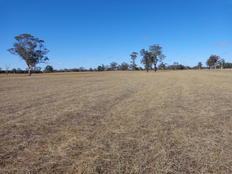 426 Cadell Road, Bordertown SA 5268